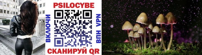 хочу наркоту  Жирновск  Псилоцибиновые грибы Cubensis 
